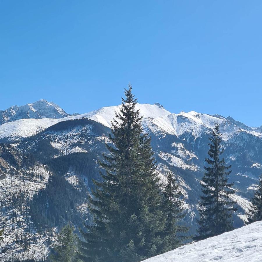 D.w Teresa * Zakopane